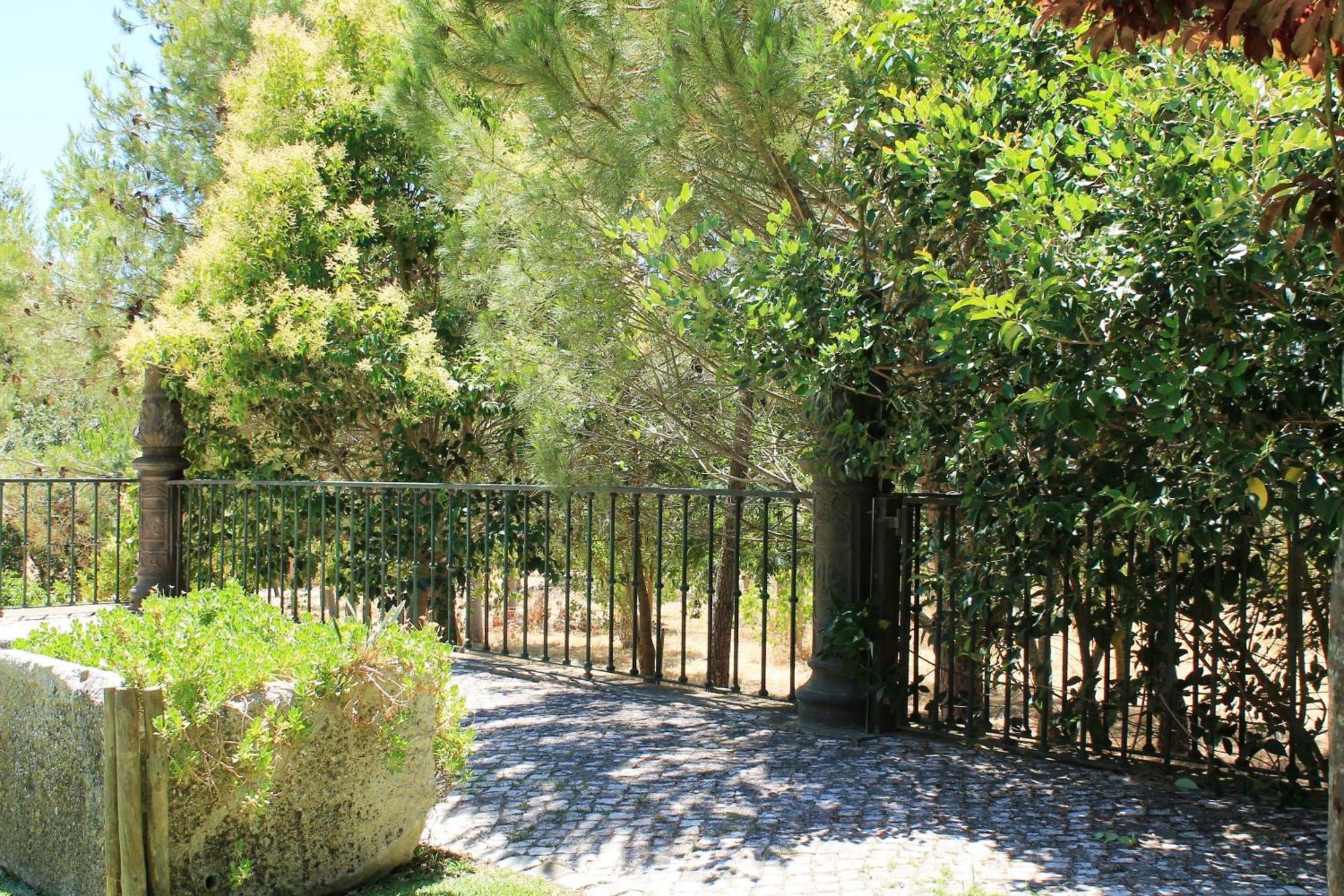 Quinta Do Casal De Santo Antonio Villa Alenquer Dış mekan fotoğraf