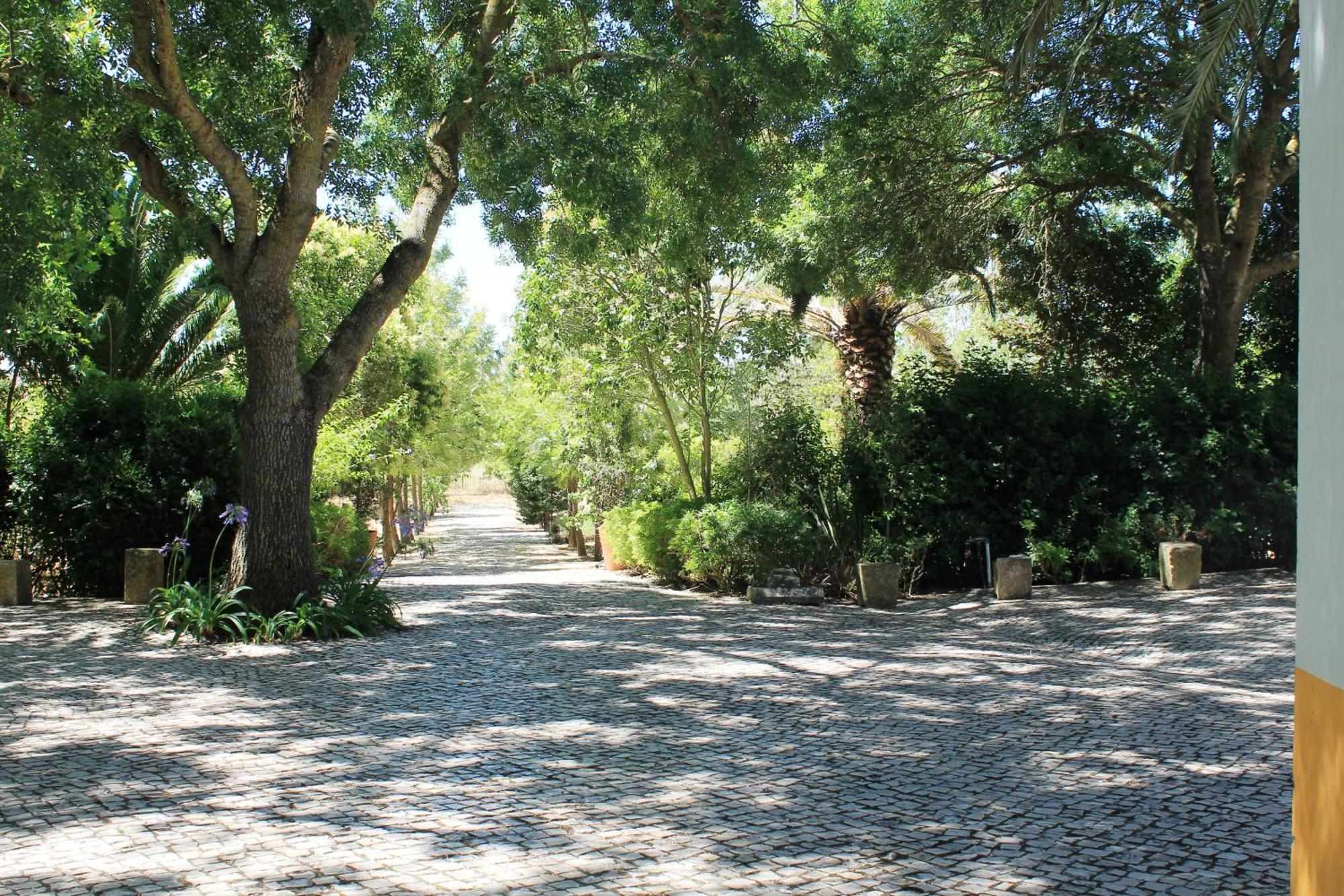 Quinta Do Casal De Santo Antonio Villa Alenquer Dış mekan fotoğraf